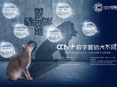 CCNһһaĸИI(y)(sh)ֻINI(y)(w)